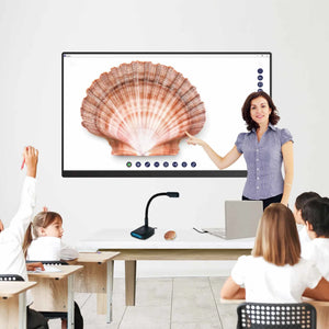 AVerVision U70i visualiser showcases a seashell on screen during hybrid teaching, highlighting advanced classroom technology.