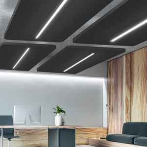 Modern office with light wood walls, desk, plant, dark sofa, and Zen Zone Zen Light Raft for acoustic control and LED ceiling lighting.