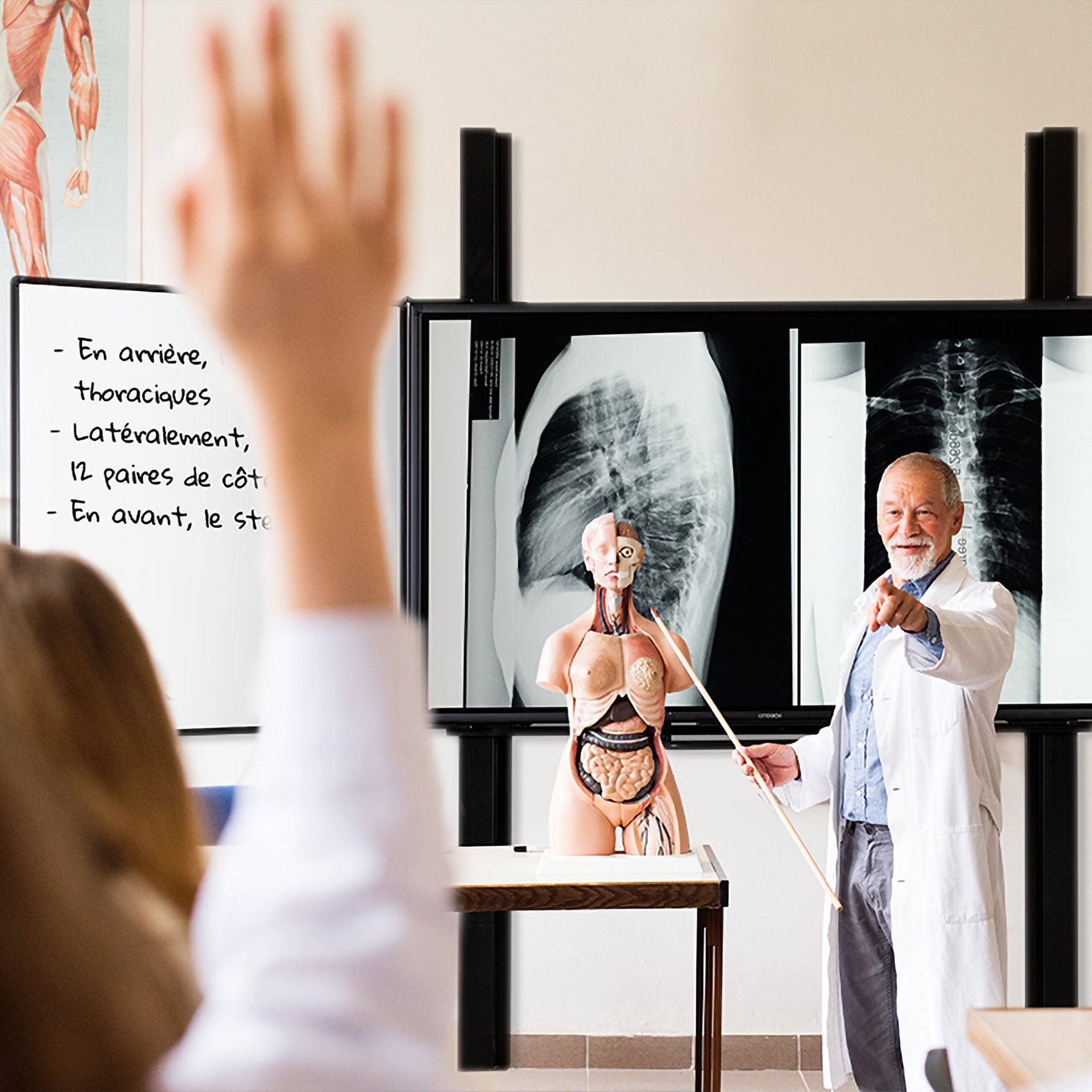 Teacher in lab coat uses Remonta FlexiView Board with X-rays, engaging students; French text on interactive whiteboard.