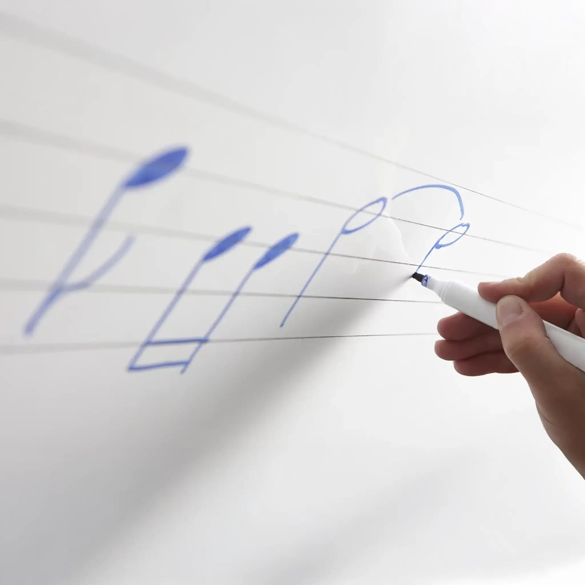 Gridded, Lined and Music Magnetic Whiteboards
